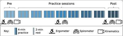 Learning of <mark class="highlighted">Wheelchair</mark> Racing Propulsion Skills Over Three Weeks of Wheeling Practice on an Instrumented Ergometer in Able-Bodied Novices